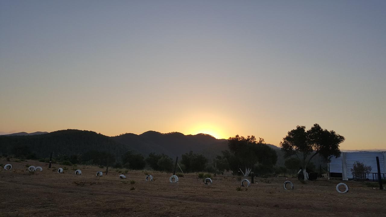 Lodge Ferma Jebala *