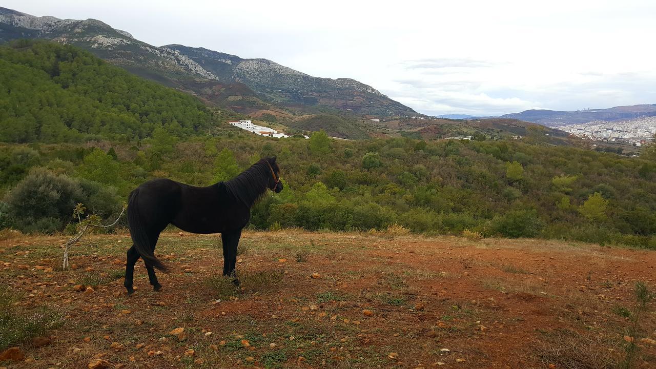 Ferma Jebala Kitane