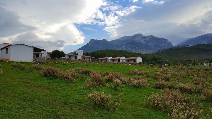 Lodge Ferma Jebala