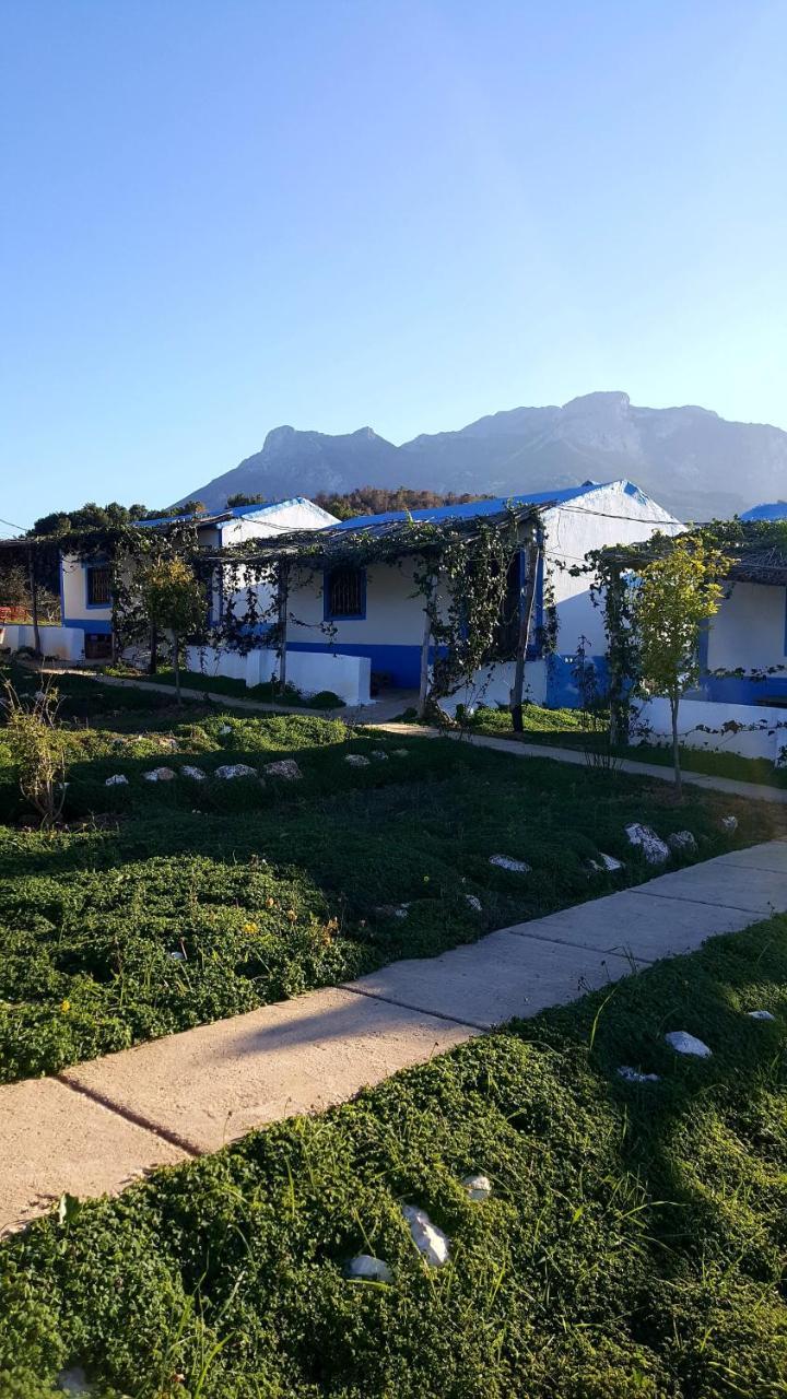 Ferma Jebala Lodge