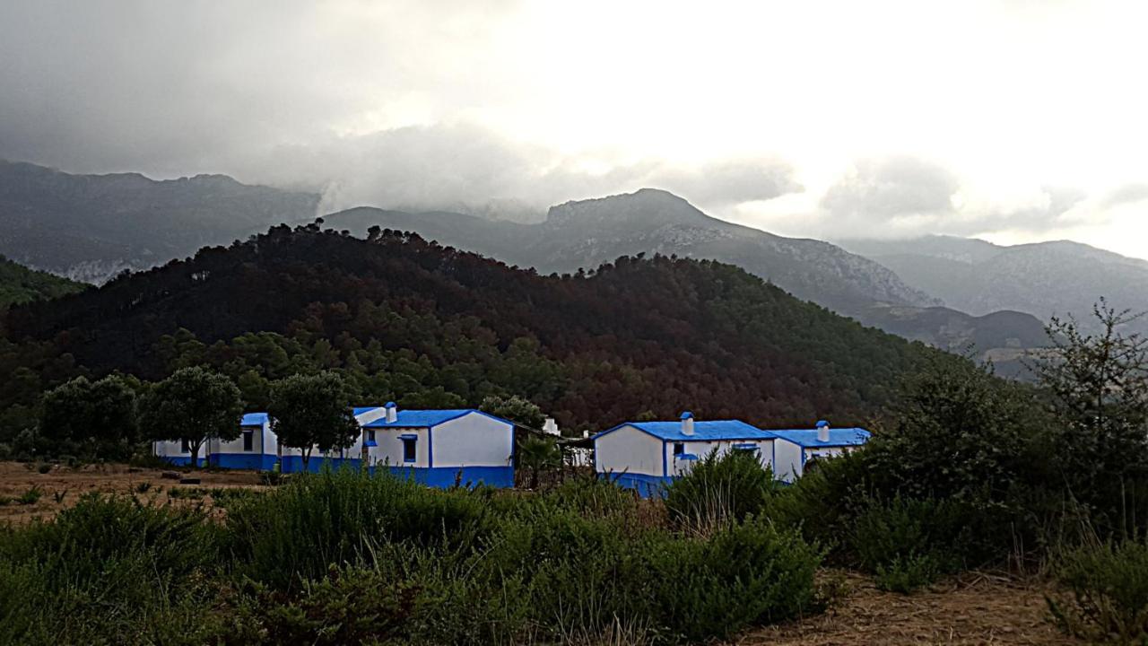 Ferma Jebala Lodge *